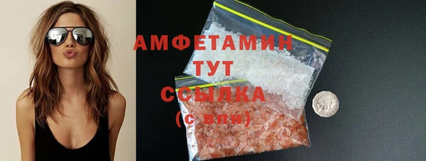 МДПВ Дмитриев