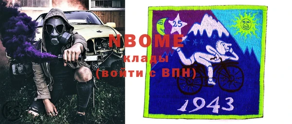 МДПВ Дмитриев