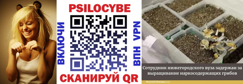 Галлюциногенные грибы ЛСД  Купить  Нефтекамск 